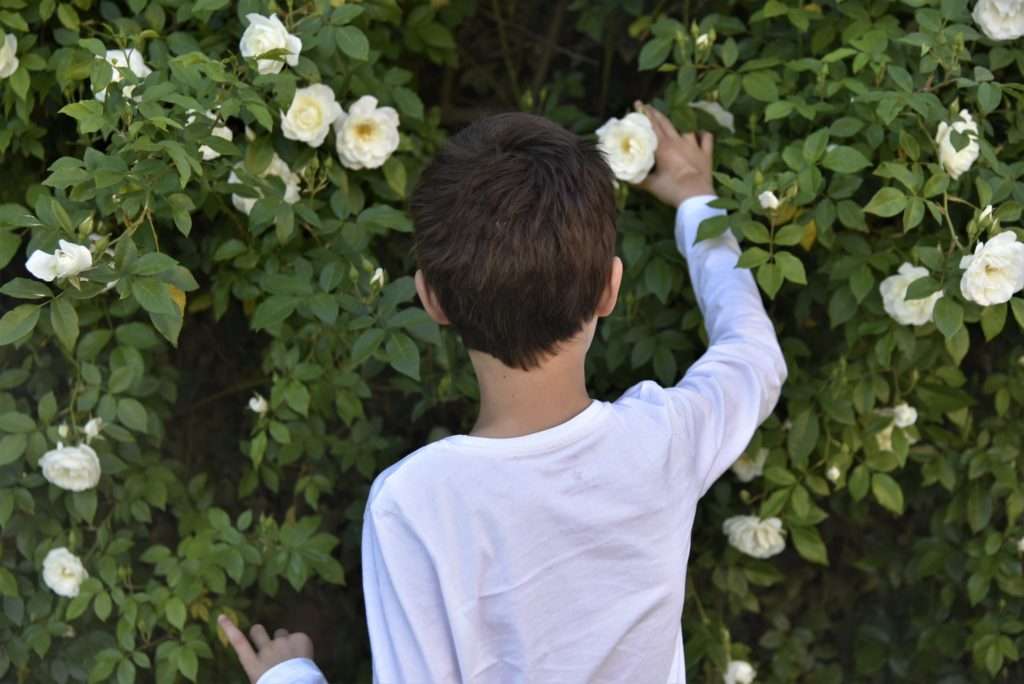 Psicomotricidade em Crianças Autistas