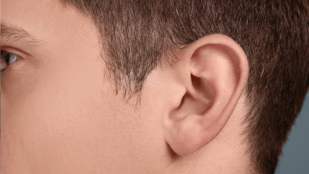 Treinamento Auditivo Domiciliar: Como Exercícios Simples Podem Complementar a Terapia em Cabine
